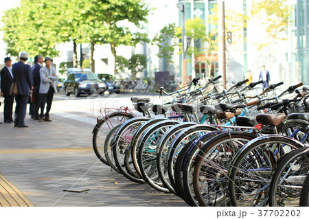 駐輪所、街路樹のある歩道に並ぶ自転車 駐輪所、街路樹のある歩道に並ぶ自転車 37702202