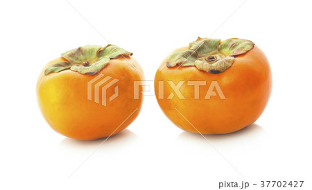 fresh ripe persimmons isolated on white background fresh ripe persimmons isolated on white background 37702427