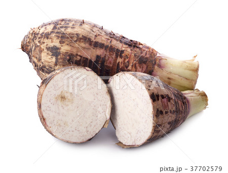 Taro isolated on white background Taro isolated on white background 37702579