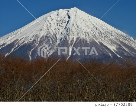 厳冬富士 37702589
