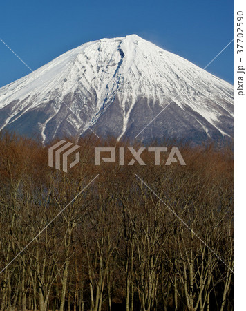 厳冬富士 厳冬富士 37702590