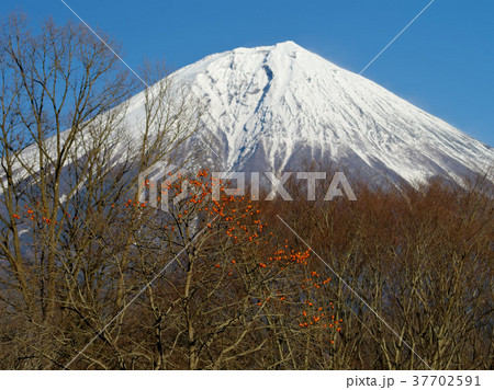厳冬富士 37702591