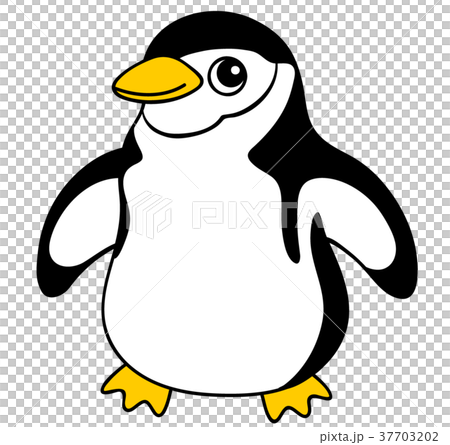 ヒゲペンギン 37703202