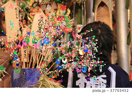 浅草　鷲（おおとり）神社の酉の市 37703452
