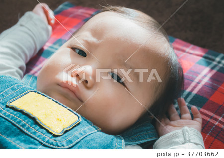 1 year old 1 year old 37703662