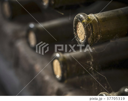 37705319