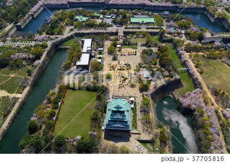 大阪城桜～空撮～ 37705816