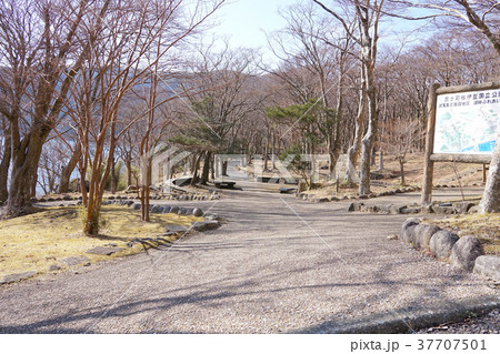 湖畔ふれあい園地 湖畔ふれあい園地 37707501