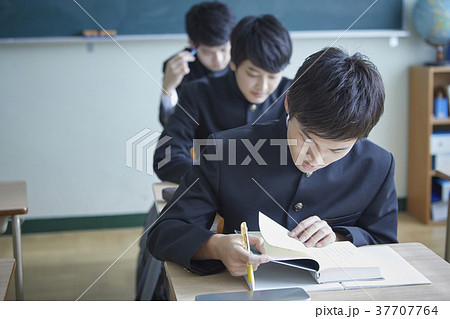 勉強をする学生 勉強をする学生 37707764