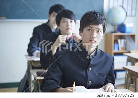 勉強をする学生 37707828