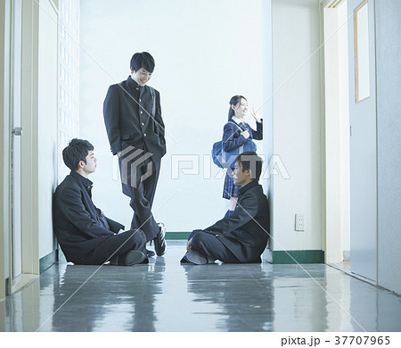 廊下で話す学生 37707965