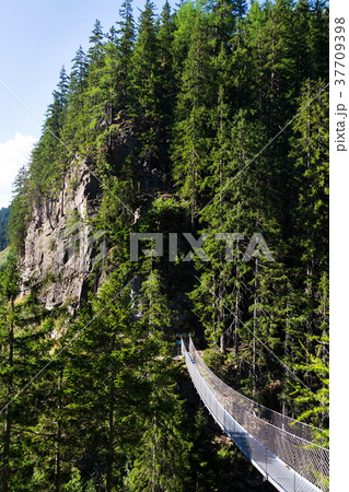 Suspension bridge on Alpine trail Hell gorge 37709398