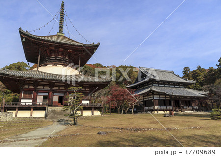 根来寺 晩秋 根来寺 晩秋 37709689