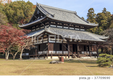 根来寺 晩秋 根来寺 晩秋 37709690