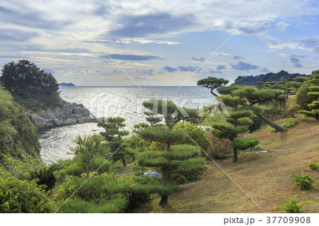 番所庭園 37709908