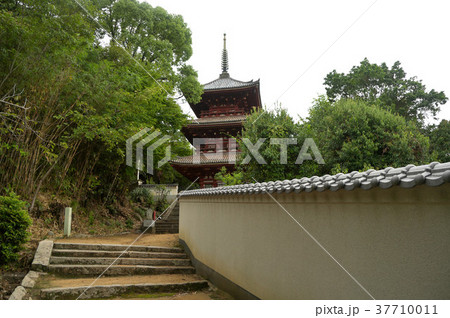 西國寺三重塔 西國寺三重塔 37710011
