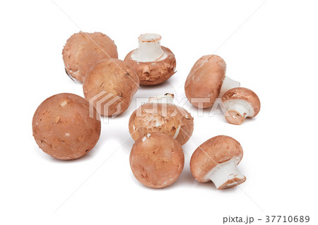 Brown mushrooms isolated 37710689