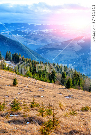 Scenic winter view on top of the Carpathian  37711211