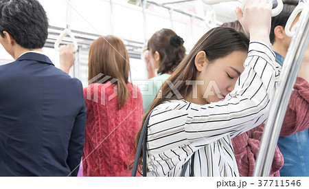 電車　通勤　通学　撮影協力・京王電鉄株式会 37711546