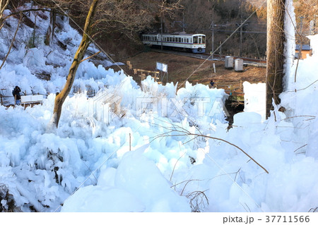 あしがくぼの氷柱と西武秩父線 あしがくぼの氷柱と西武秩父線 37711566