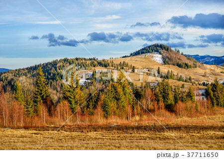 Scenic winter view on top of the Carpathian  37711650