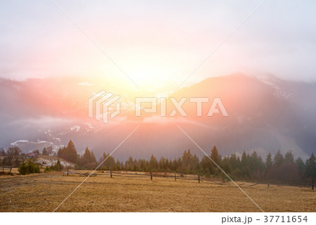 Beautiful view with morning fog in early spring 37711654