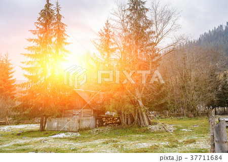 View on the carpathian pinewood house 37711684