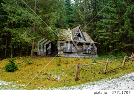 View on the carpathian pinewood house 37711707