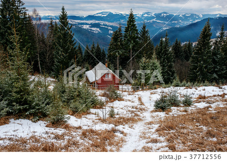 View on the carpathian pinewood house View on the carpathian pinewood house 37712556