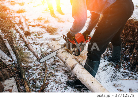 Process of sawing log by chainsaw in the winter 37712578
