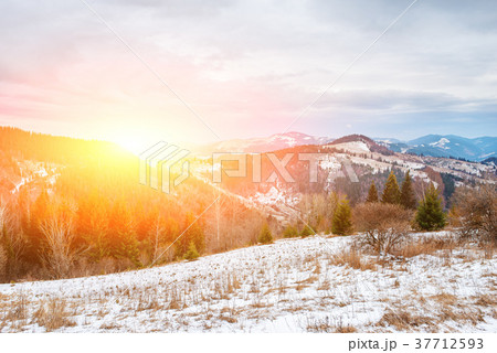 Scenic winter view on top of the Carpathian Scenic winter view on top of the Carpathian 37712593