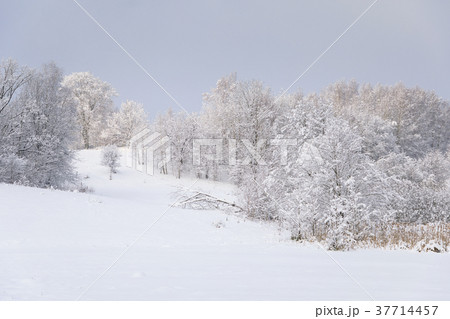 Countryside winter landscape 37714457
