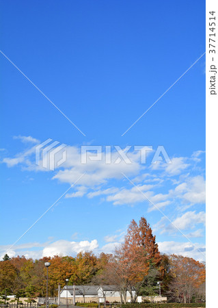 日本100名城・鉢形城 日本100名城・鉢形城 37714514