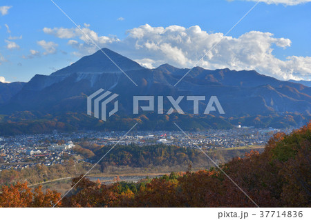 秩父ミューズパーク 秩父ミューズパーク 37714836