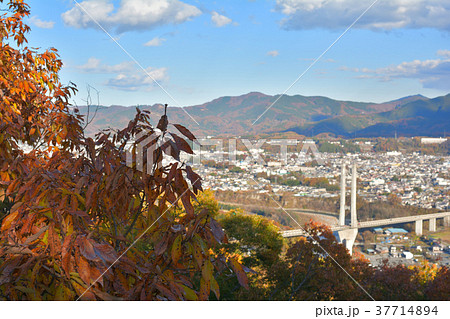 秩父ミューズパーク 37714894