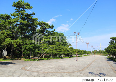 大阪 浜寺公園 大阪 浜寺公園 37715028