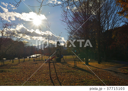 秩父ミューズパーク 37715103