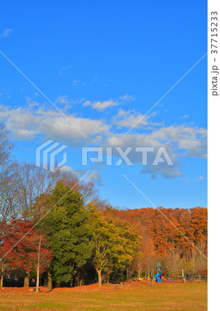 秩父ミューズパーク 37715233