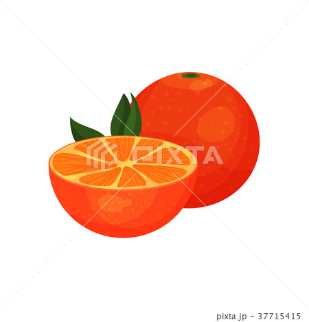 Fresh juicy orange fruit cartoon vector 37715415