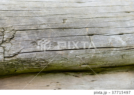 テクスチャ テクスチャー 風合い 37715497