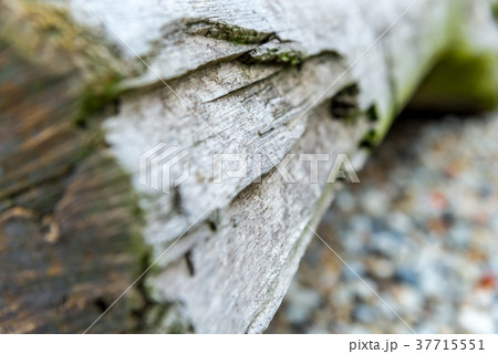 テクスチャ テクスチャー 風合い 37715551