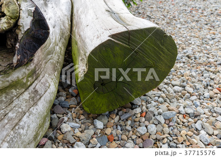 テクスチャ テクスチャー 風合い 37715576