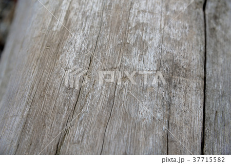 テクスチャ テクスチャー 風合い 37715582