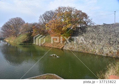 山形城01 37715822