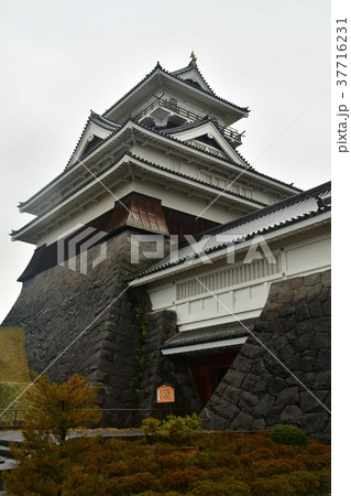 上山城20 上山城20 37716231