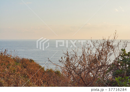 江の島 37716284