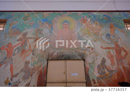 インド　サルナート　ムルガンダクティー寺院　ダメークストゥーパ 37716357