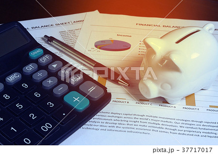 Work station and pig model on finance report  37717017