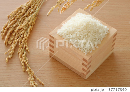 お米　稲穂 37717340