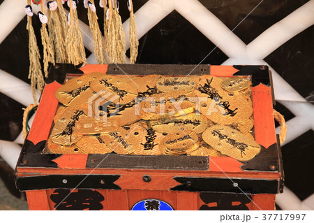 浅草　鷲（おおとり）神社の酉の市 小判と千両箱 37717997